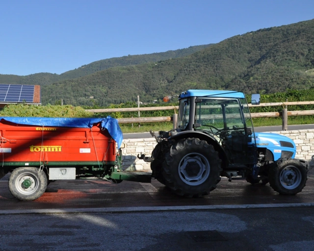 Trasporto dell'uva
