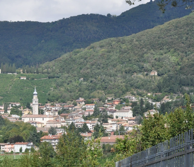 Veduta panoramica dall'azienda agricola Benotto Luigino