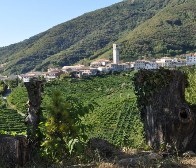 Panoramic view of the vineyards around Valdobbiadene