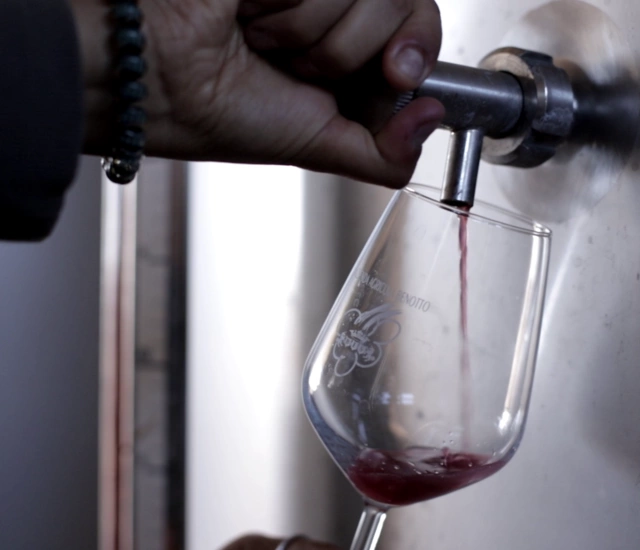CABERNET SAUVIGNON I.G.T. TREVENEZIE