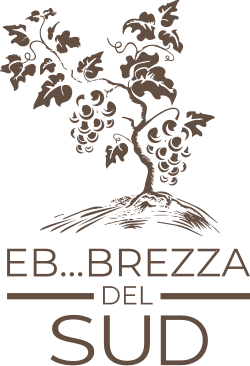 Logo linea Eb...brezza del Sud